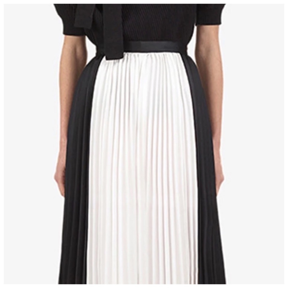 🥀 The Laportia Pleated Palazzo Pants - Picture 4 of 4